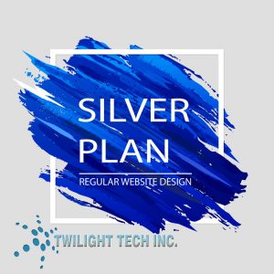 website design silver regular